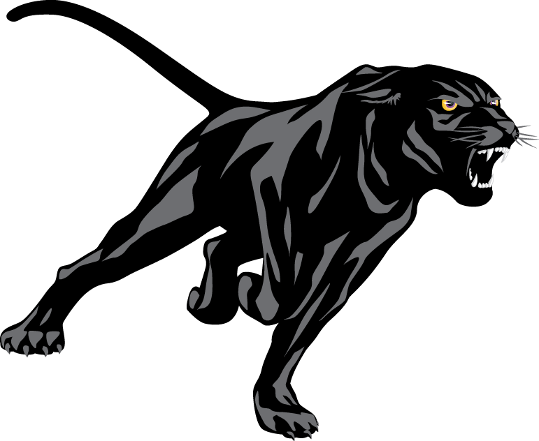 Prairie View A&M Panthers 2011-Pres Partial Logo diy fabric transfer
